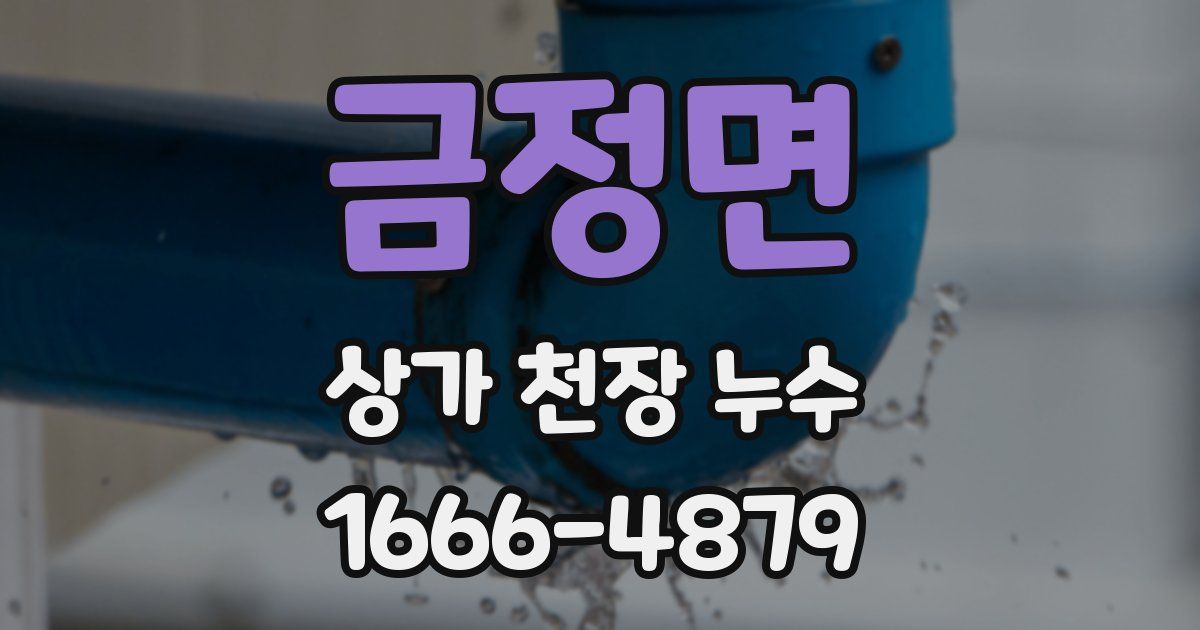 금정면 상가 천장 누수