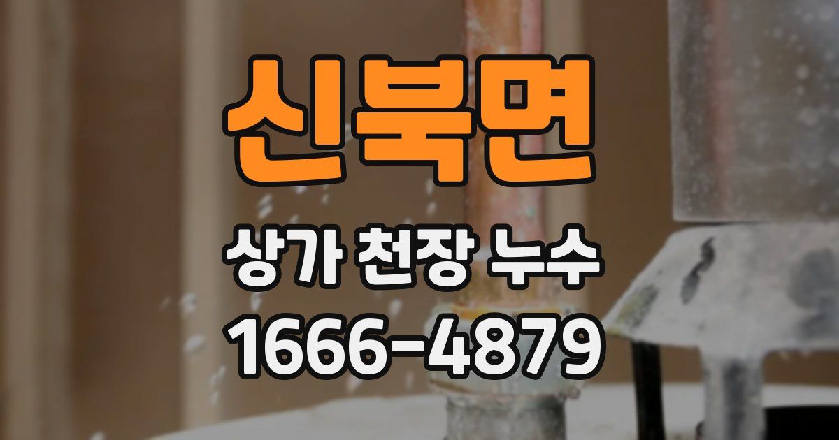 신북면 상가 천장 누수