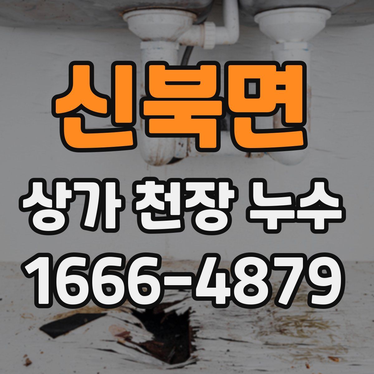 신북면 상가 천장 누수