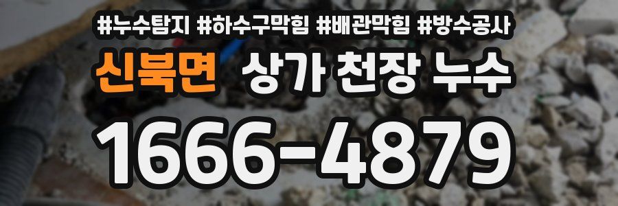 신북면 상가 천장 누수