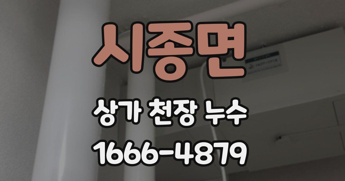시종면 상가 천장 누수