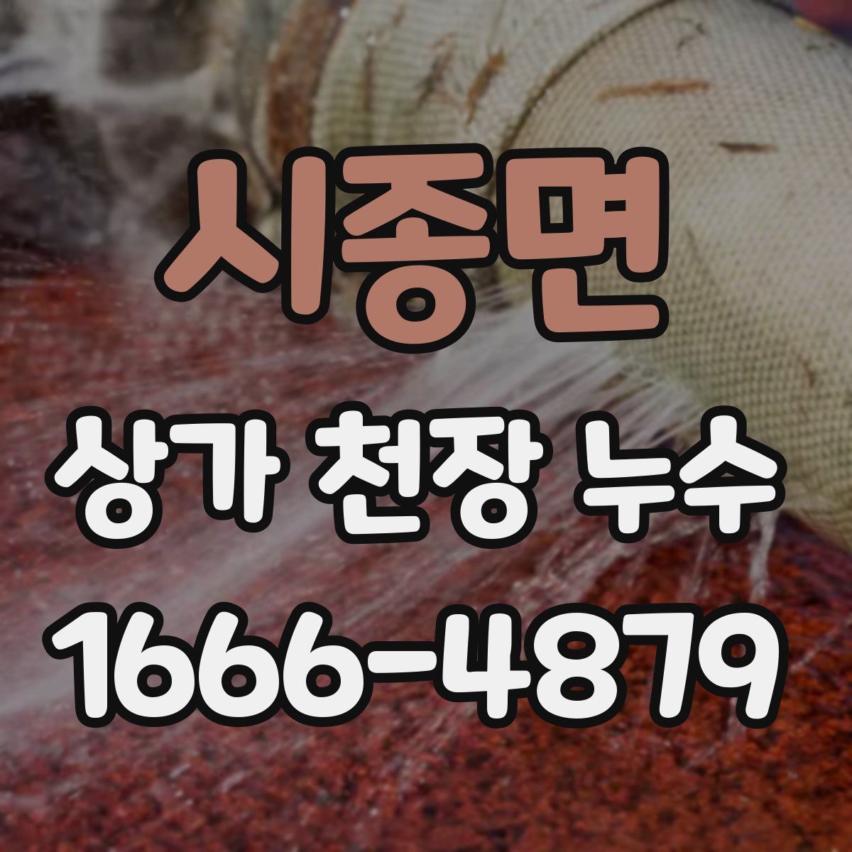 시종면 상가 천장 누수