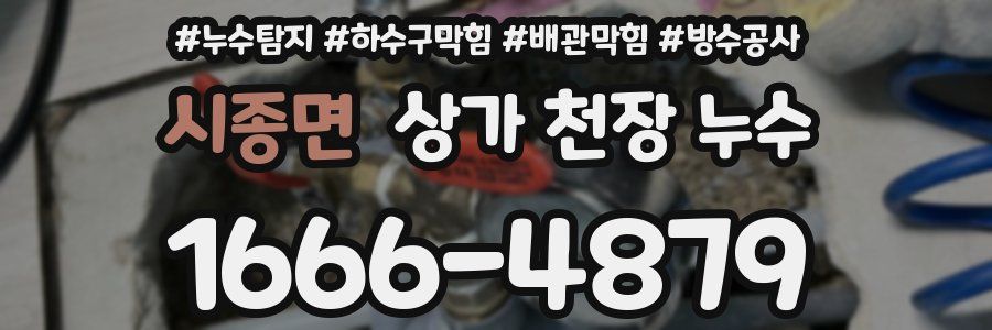 시종면 상가 천장 누수