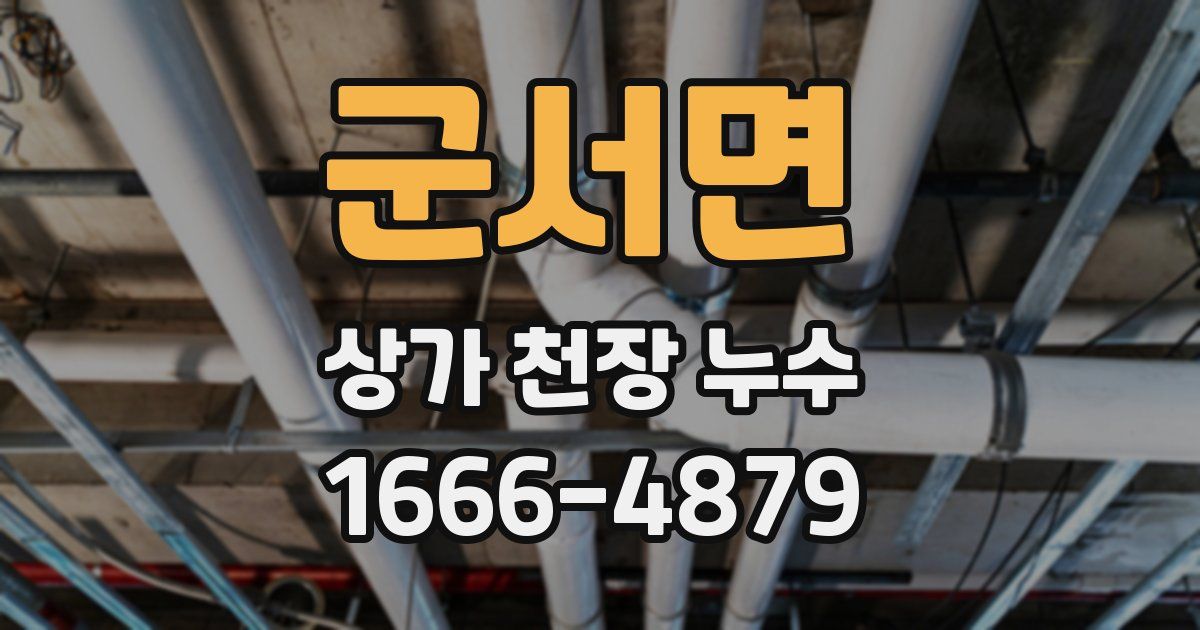 군서면 상가 천장 누수