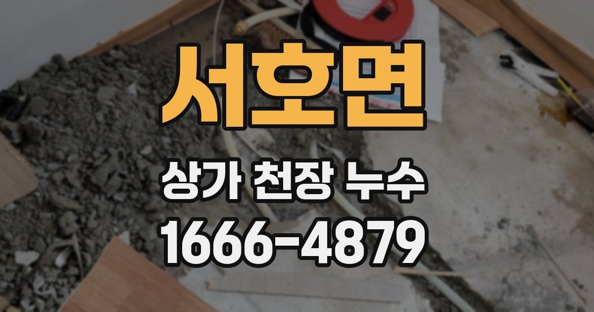서호면 상가 천장 누수