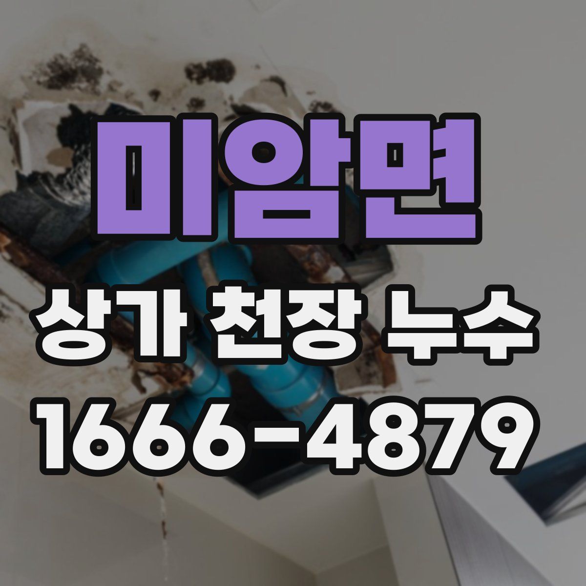 미암면 상가 천장 누수