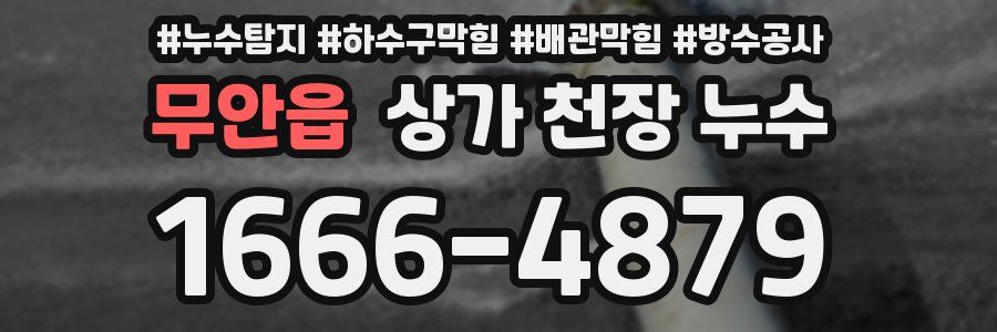 무안읍 상가 천장 누수
