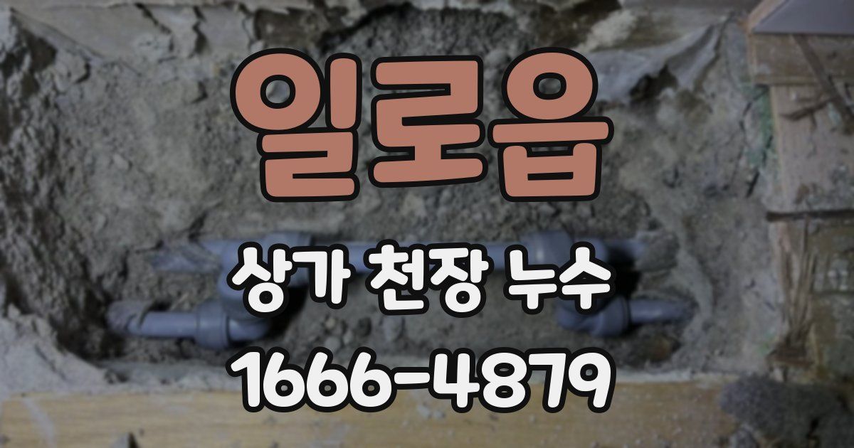 일로읍 상가 천장 누수