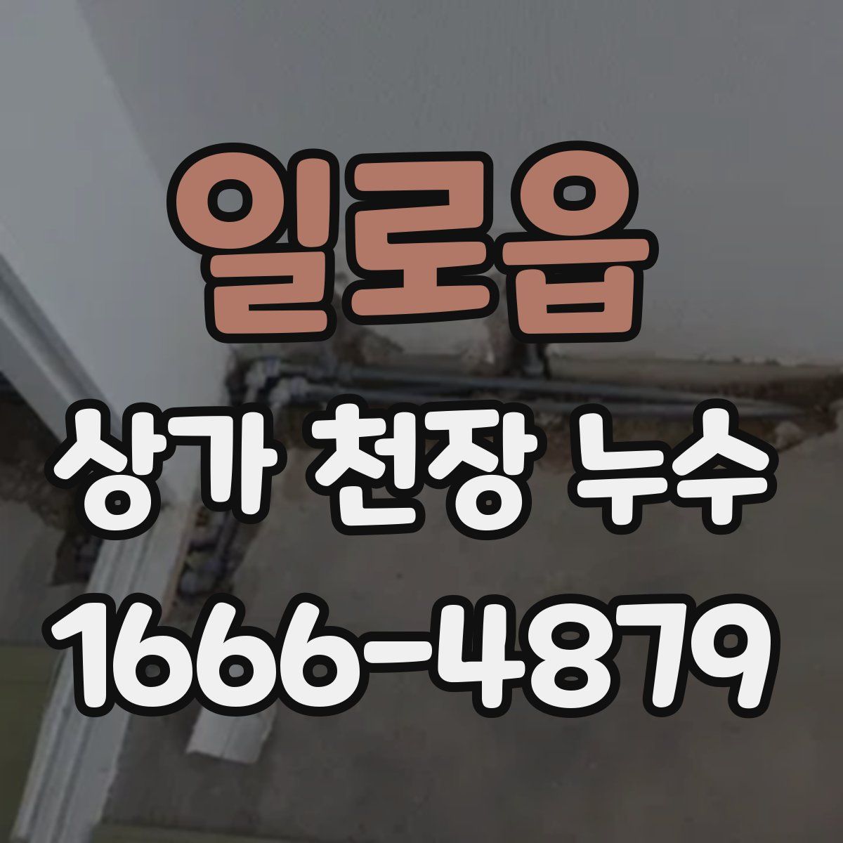일로읍 상가 천장 누수