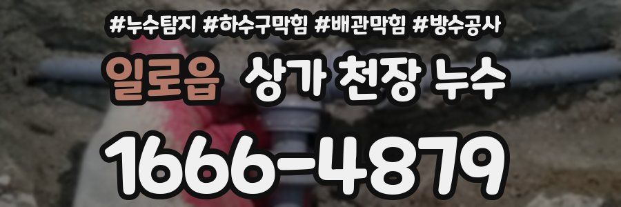일로읍 상가 천장 누수