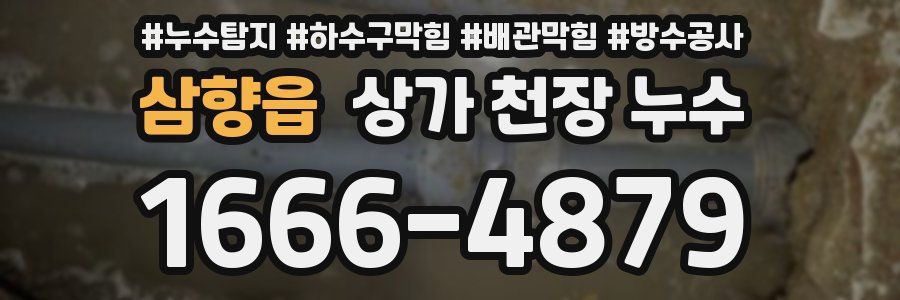 삼향읍 상가 천장 누수
