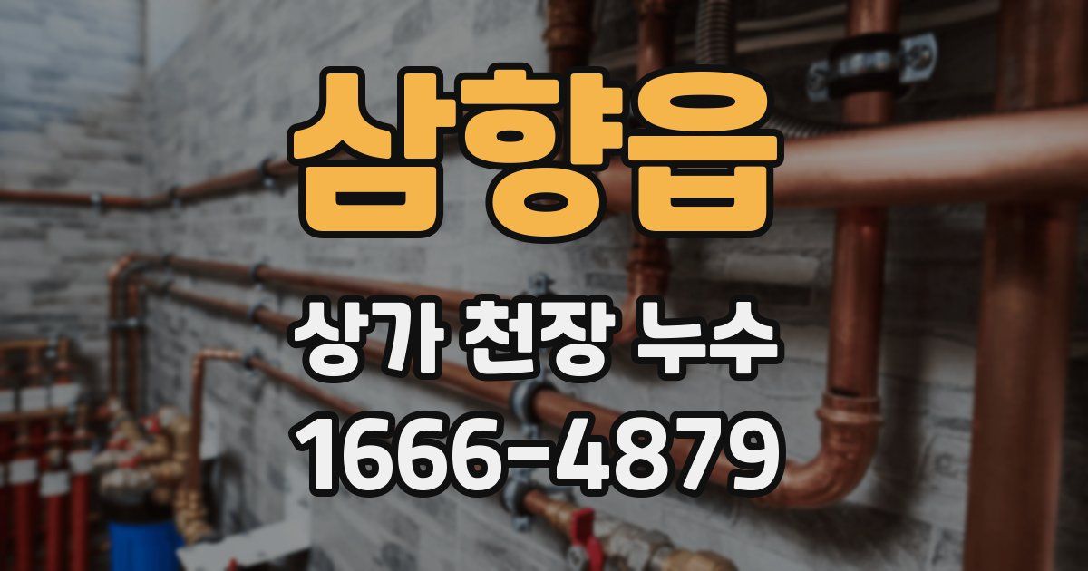 삼향읍 상가 천장 누수