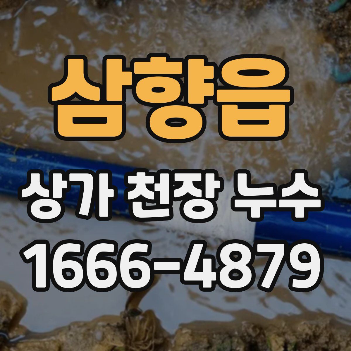 삼향읍 상가 천장 누수