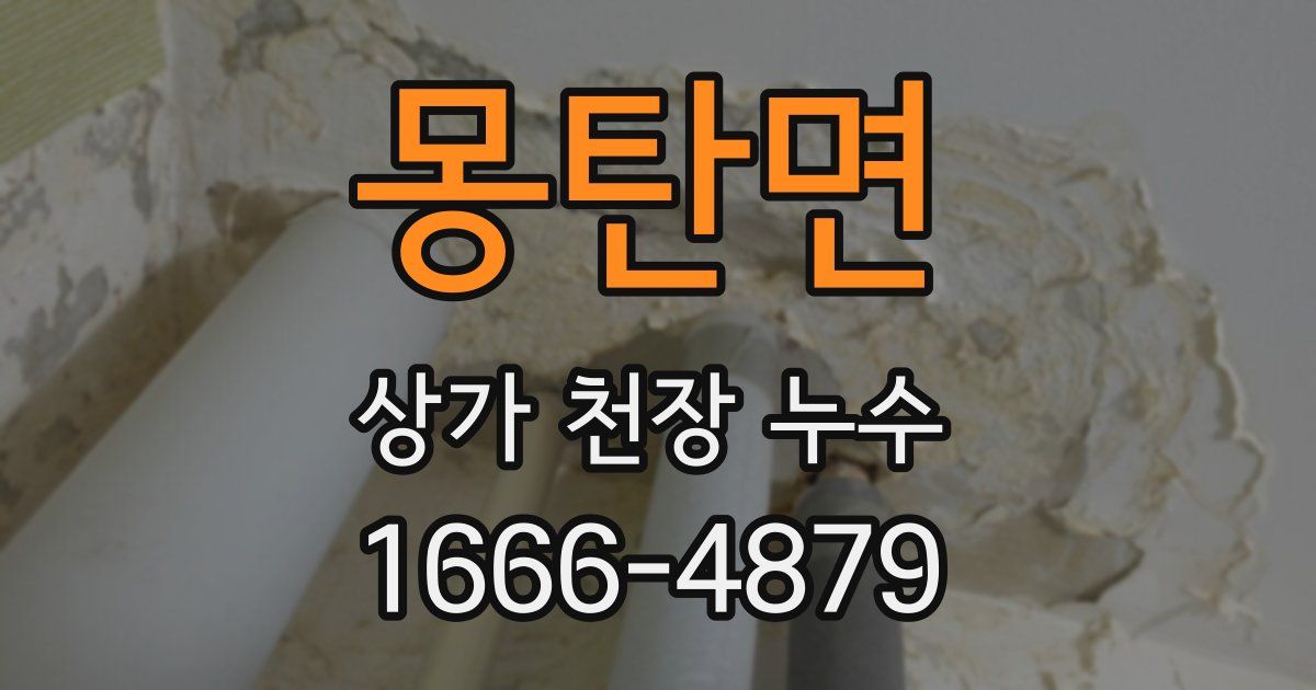 몽탄면 상가 천장 누수