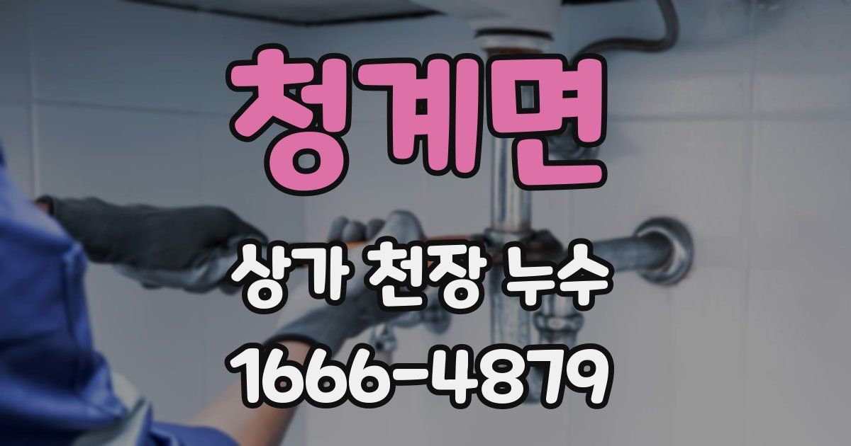청계면 상가 천장 누수