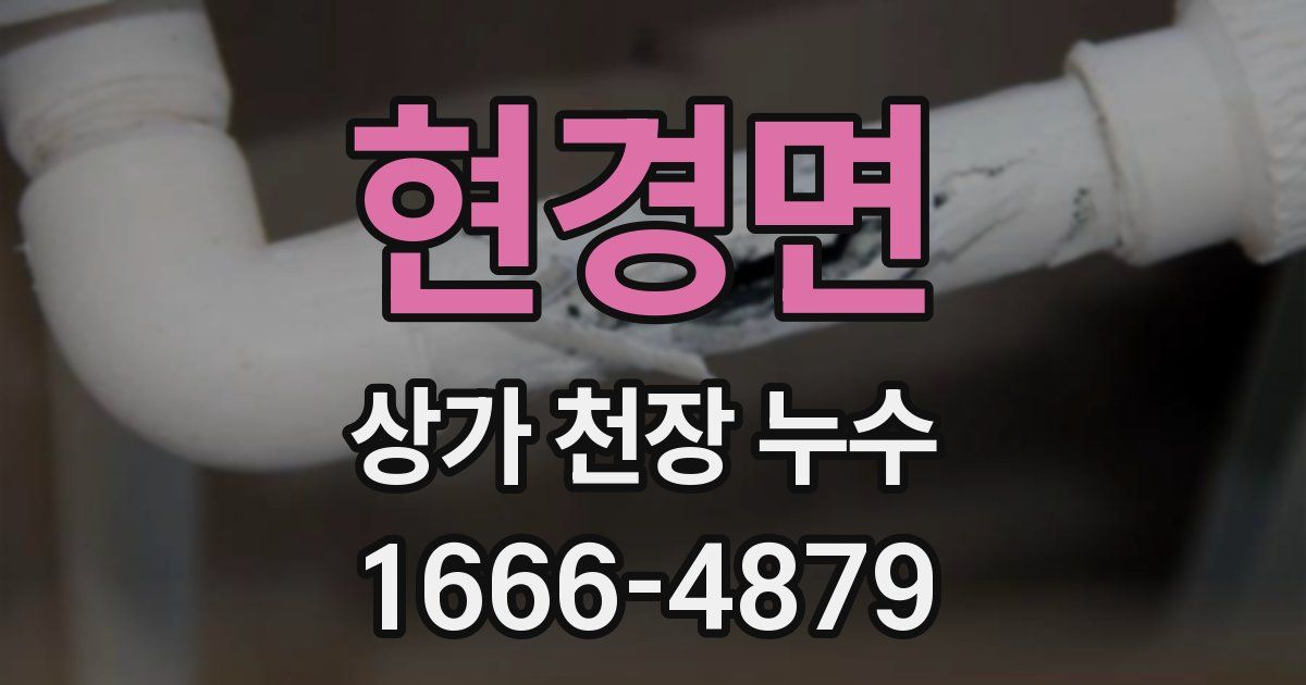 현경면 상가 천장 누수