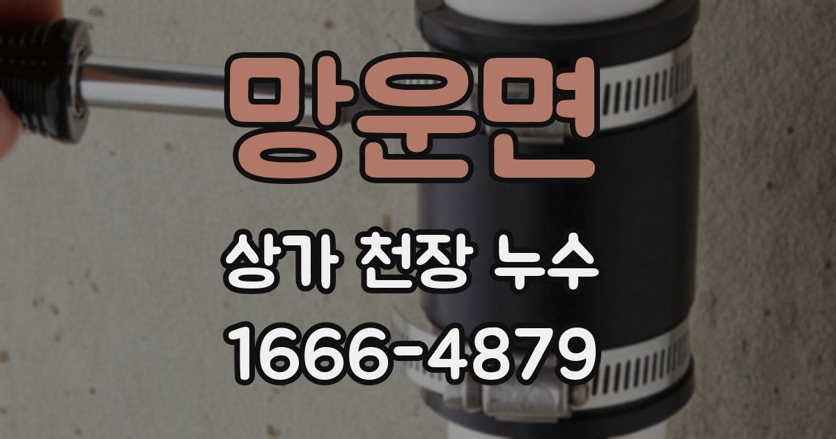 망운면 상가 천장 누수
