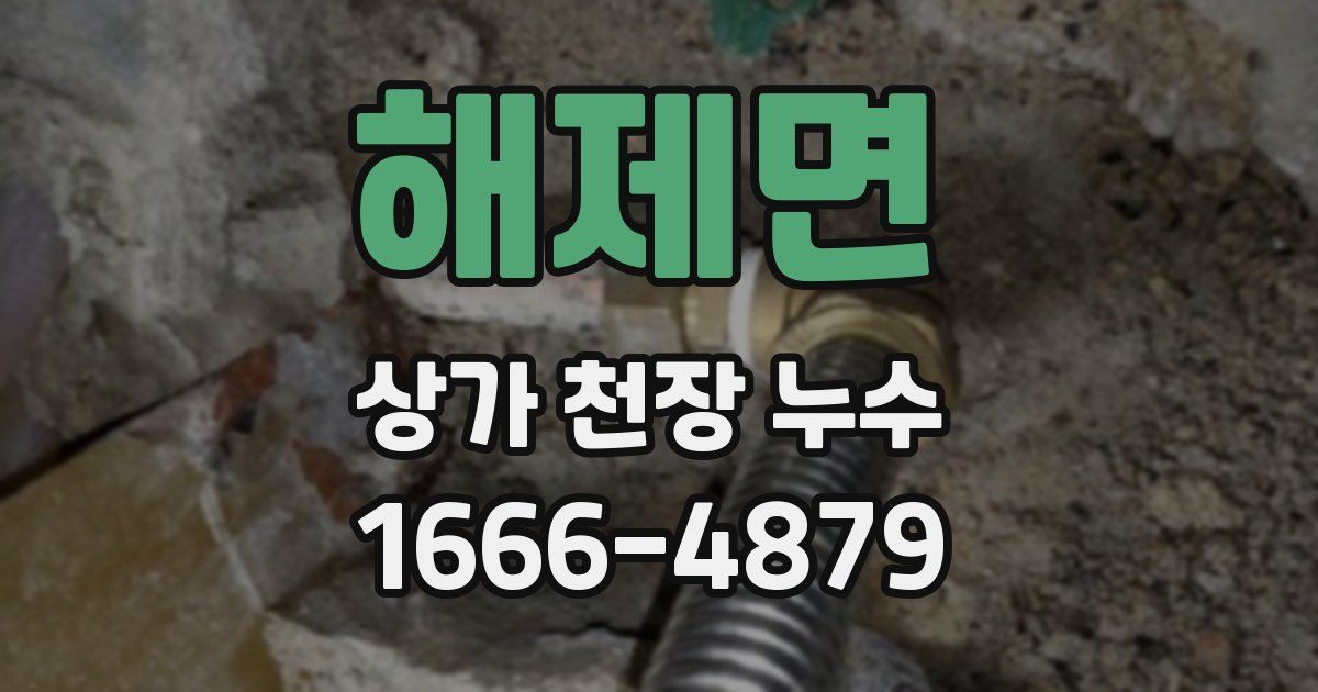 해제면 상가 천장 누수