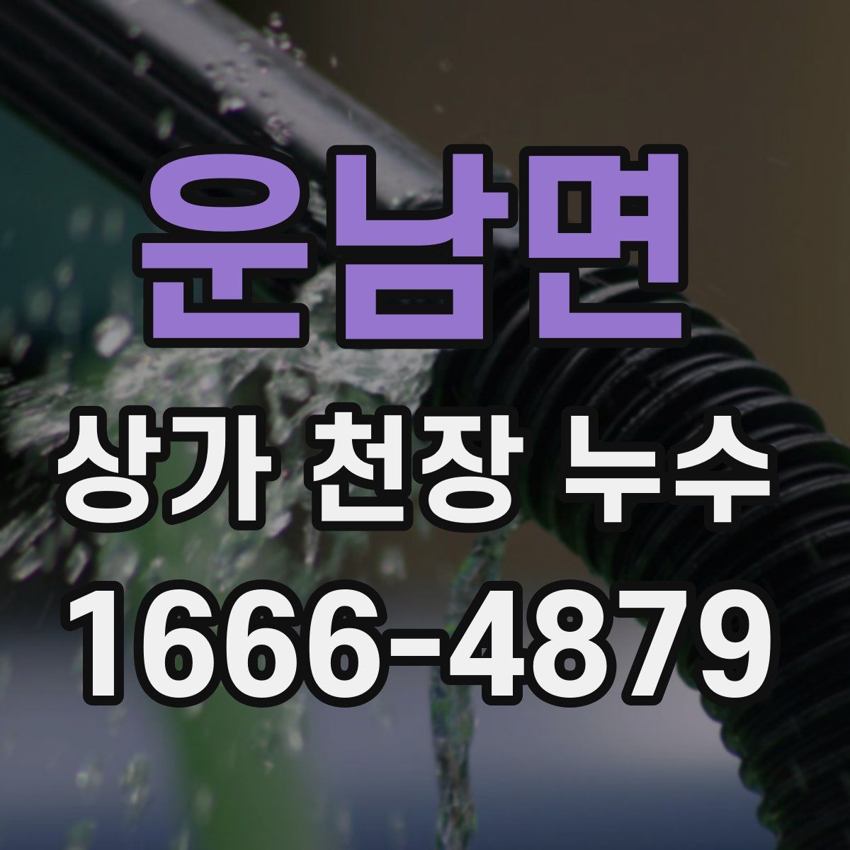 운남면 상가 천장 누수
