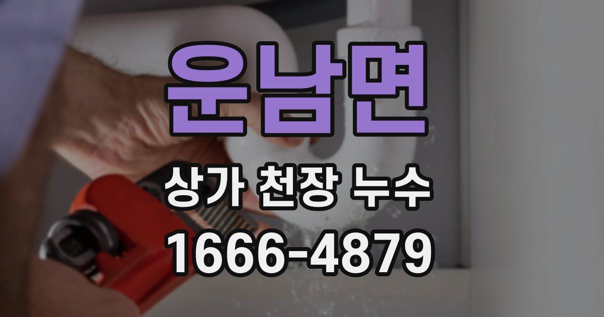 운남면 상가 천장 누수