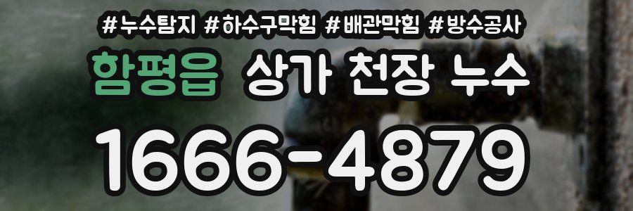 함평읍 상가 천장 누수