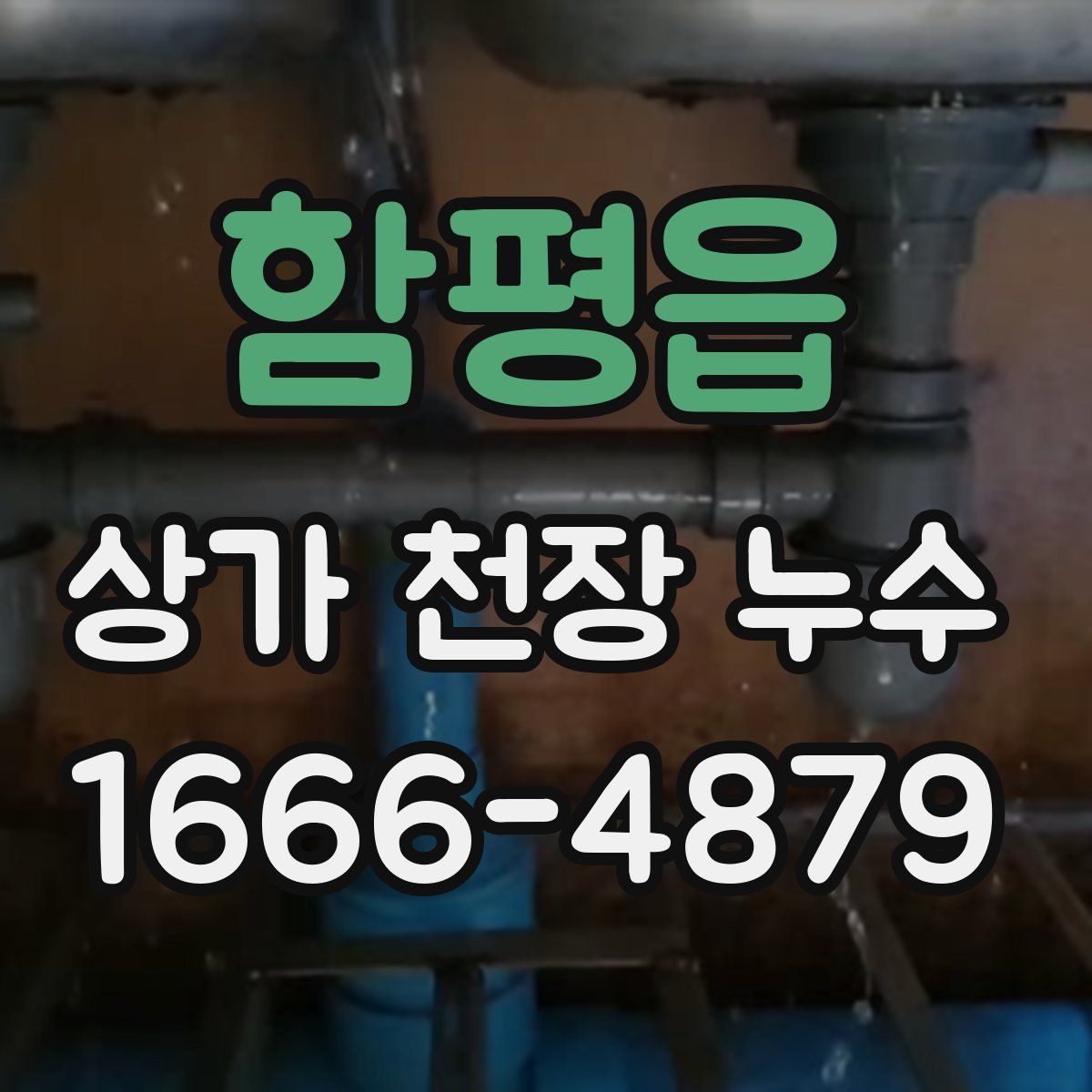 함평읍 상가 천장 누수