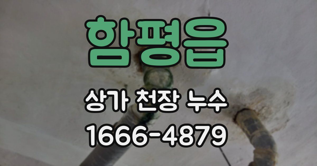 함평읍 상가 천장 누수