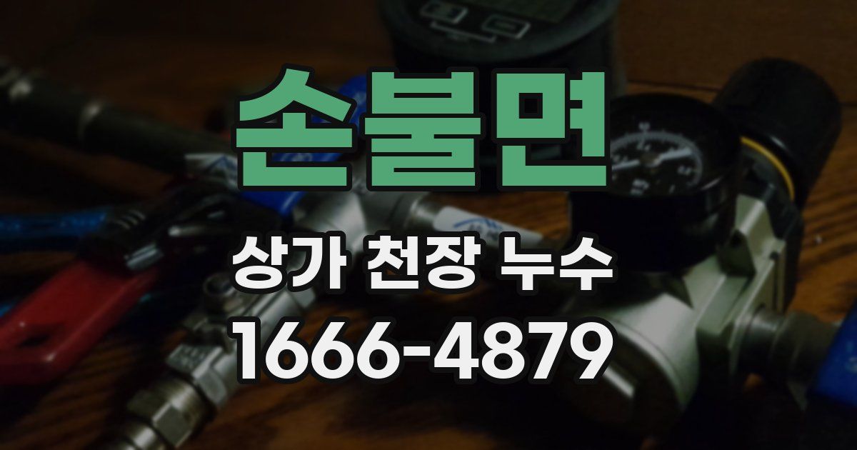 손불면 상가 천장 누수