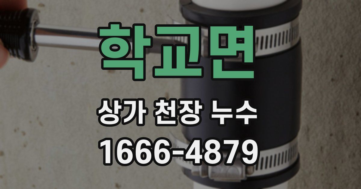 학교면 상가 천장 누수