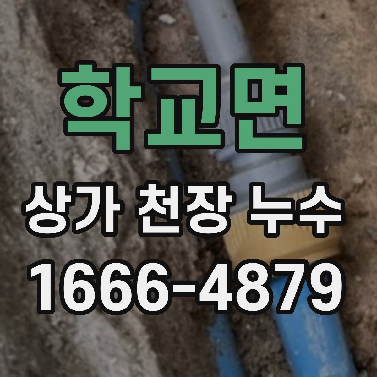학교면 상가 천장 누수