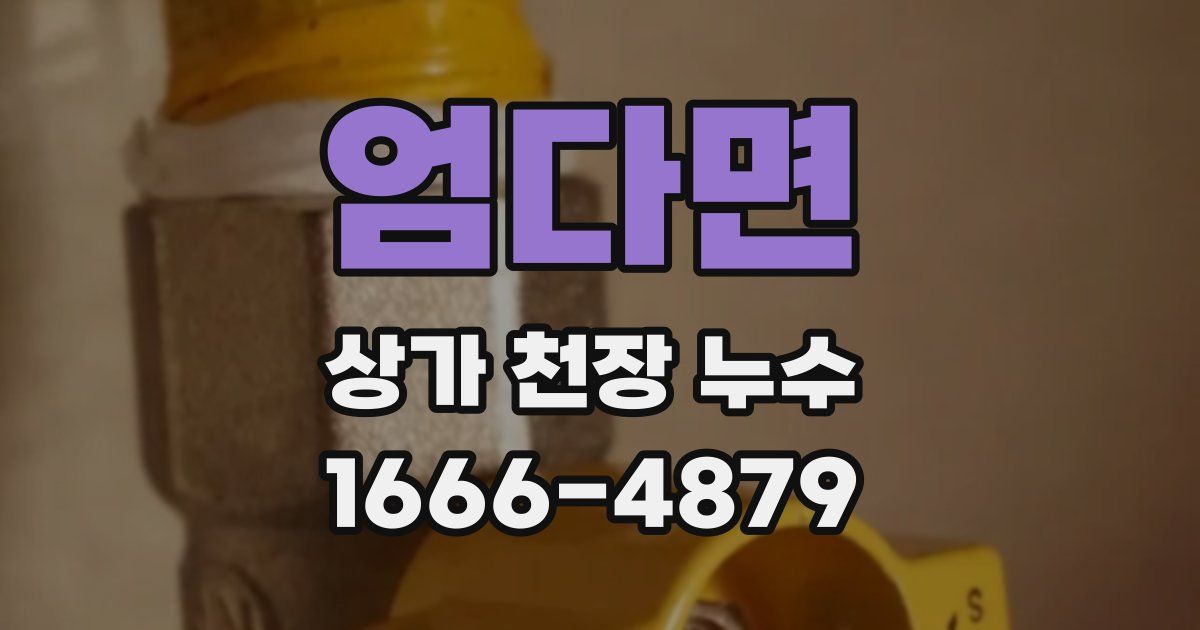 엄다면 상가 천장 누수