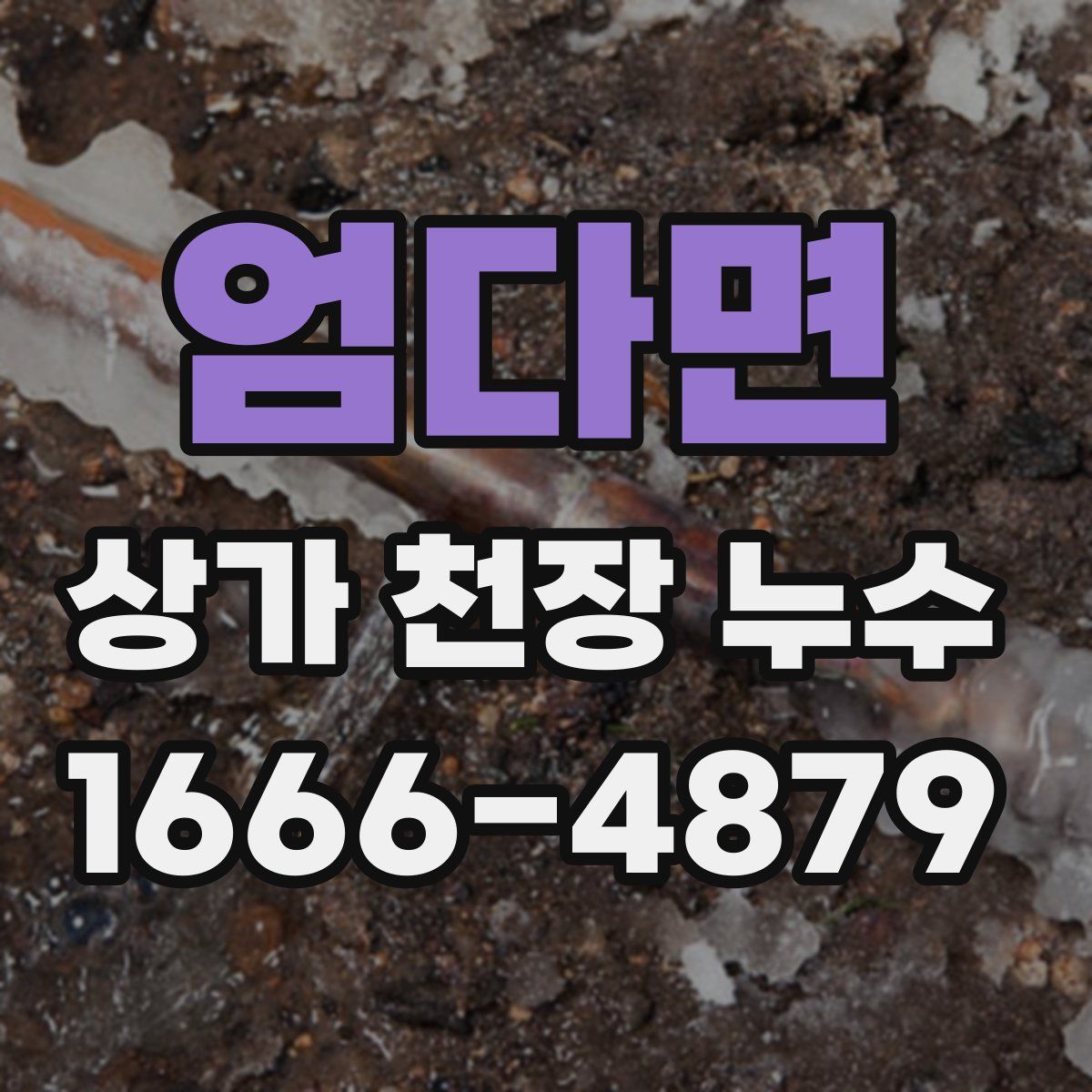 엄다면 상가 천장 누수
