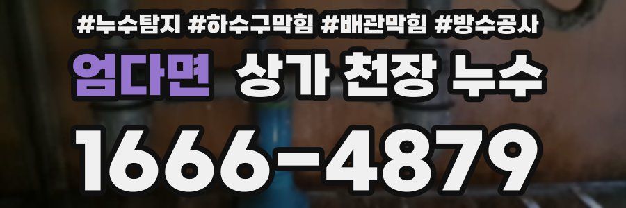 엄다면 상가 천장 누수