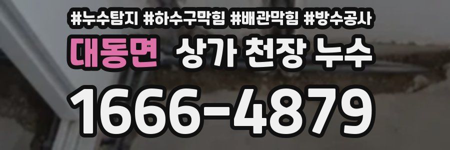 대동면 상가 천장 누수