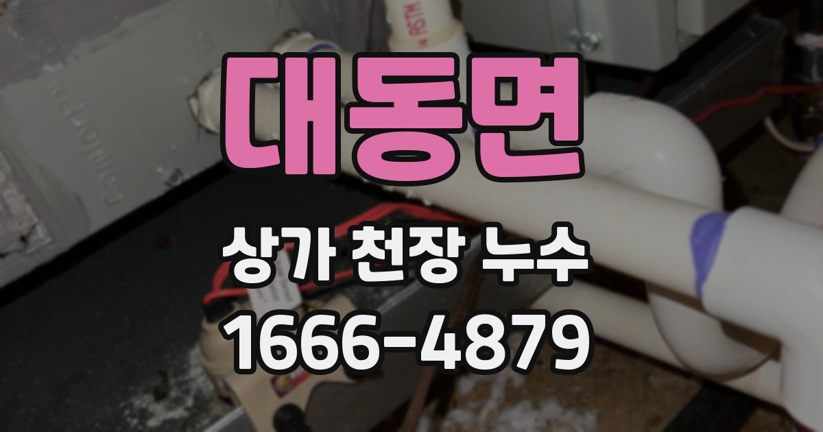 대동면 상가 천장 누수