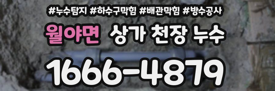 월야면 상가 천장 누수