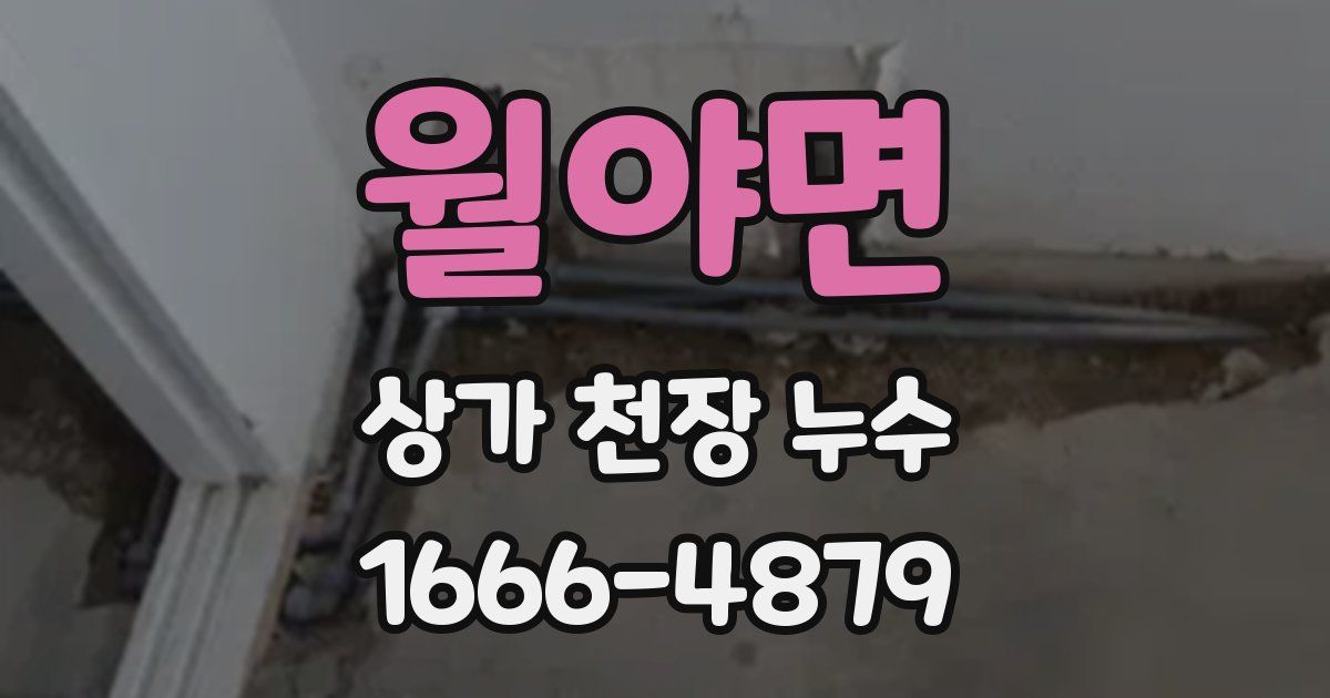 월야면 상가 천장 누수