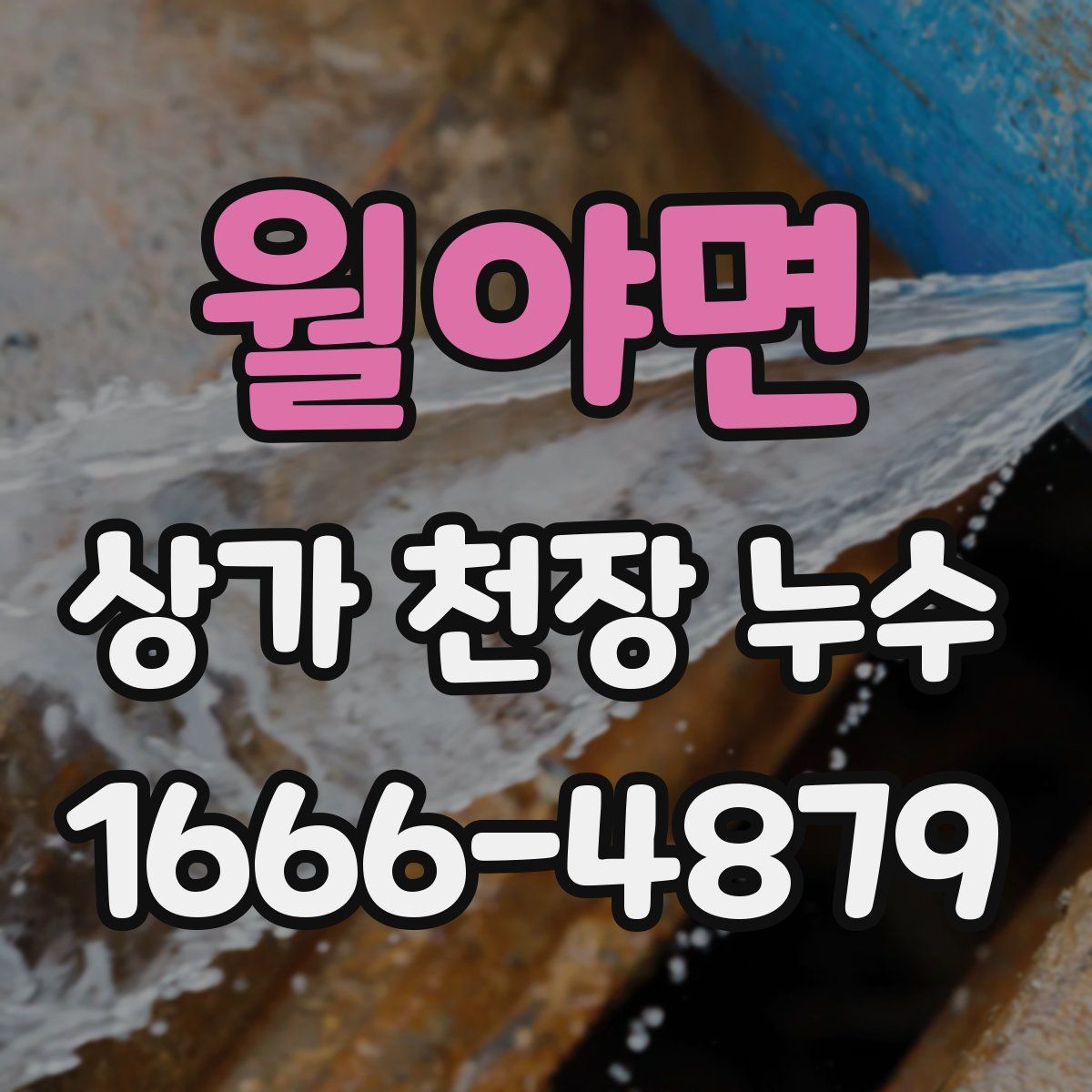 월야면 상가 천장 누수