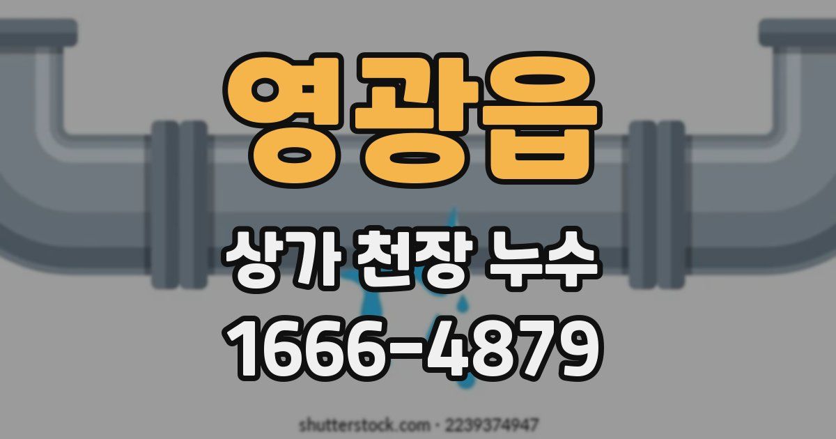 영광읍 상가 천장 누수