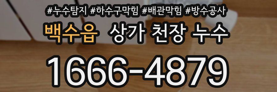 백수읍 상가 천장 누수