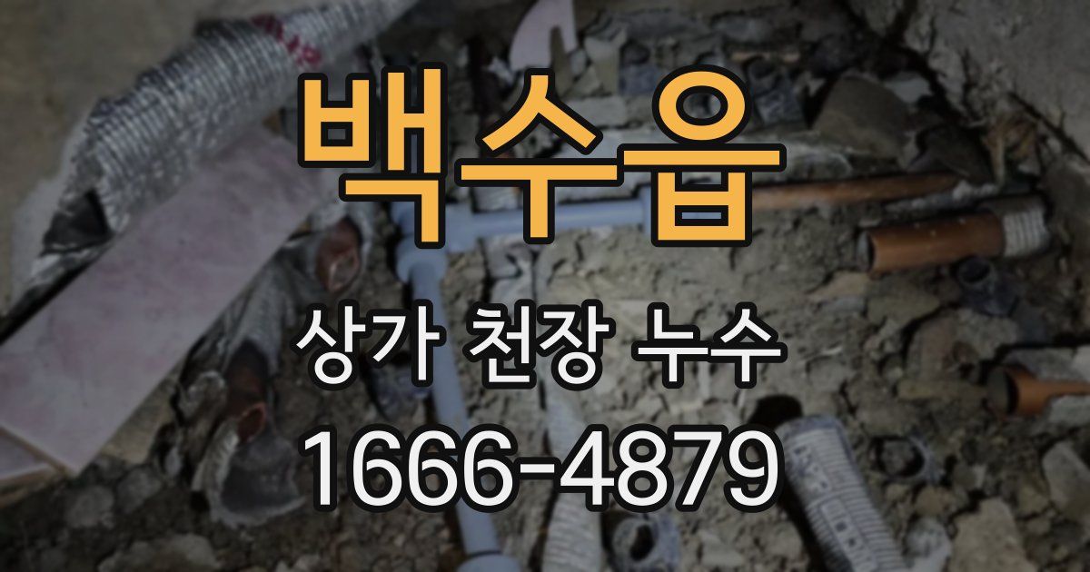 백수읍 상가 천장 누수
