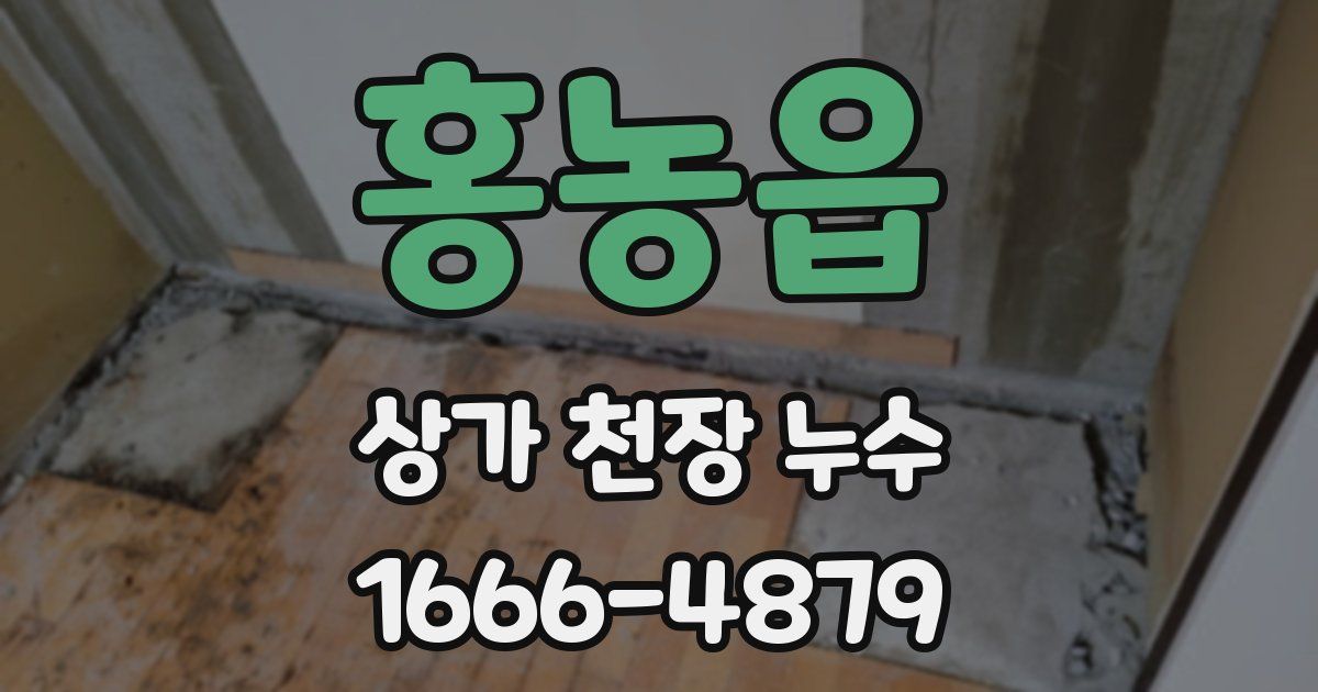 홍농읍 상가 천장 누수