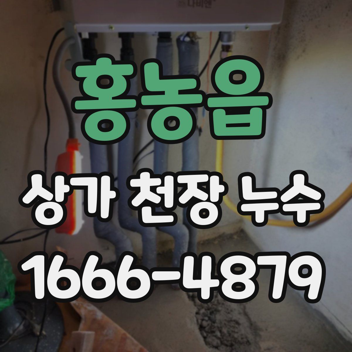 홍농읍 상가 천장 누수
