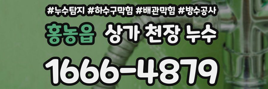 홍농읍 상가 천장 누수