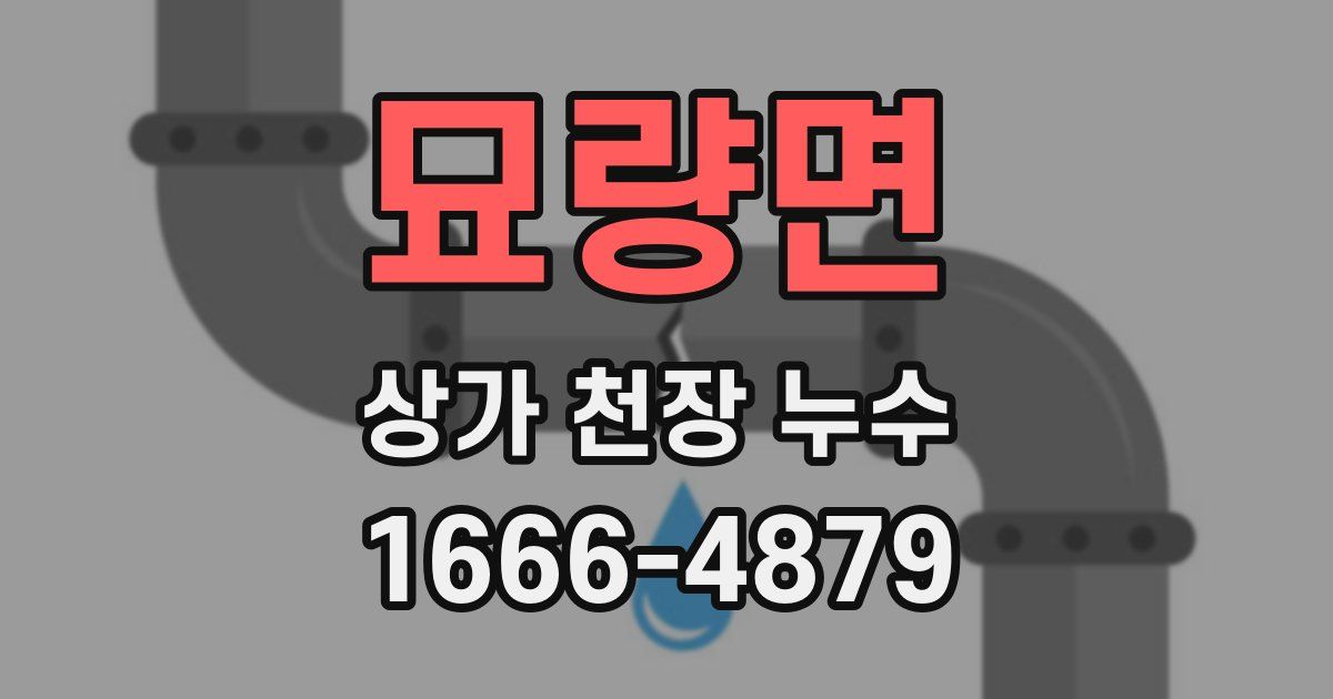 묘량면 상가 천장 누수