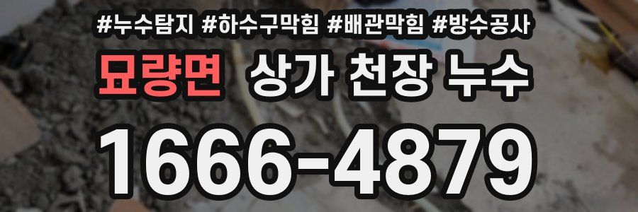묘량면 상가 천장 누수