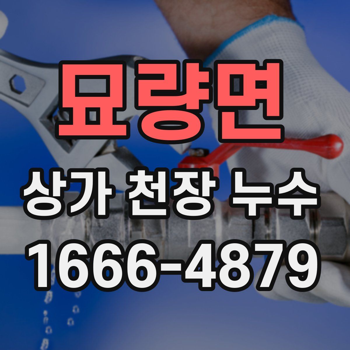 묘량면 상가 천장 누수