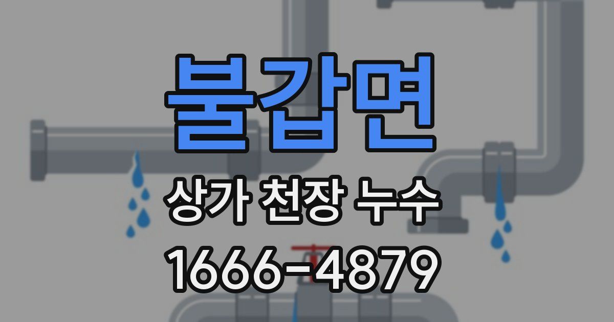 불갑면 상가 천장 누수