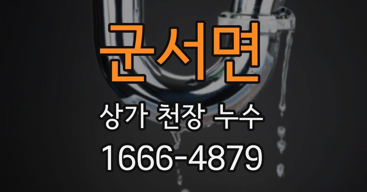 군서면 상가 천장 누수