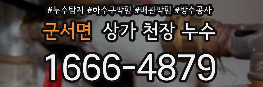 군서면 상가 천장 누수